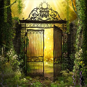 Career Development Series Operational Professionals: Help Firm Leaders Function as Gate-Openers