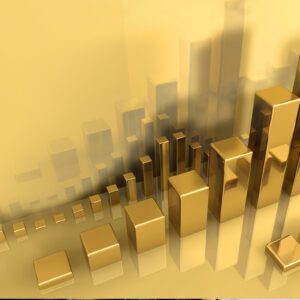 Career Development Series Pre-Manager: Understand the Economics of Public Accounting