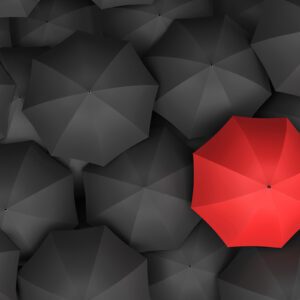 Management Presentation: Differentiating Your Firm in a Sea of Sameness