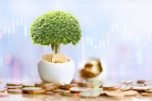 Tree growing out of a bowl filled with gold coins
